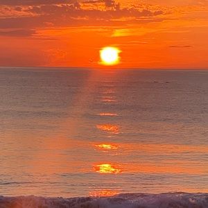 Meet your Posher, Dragana